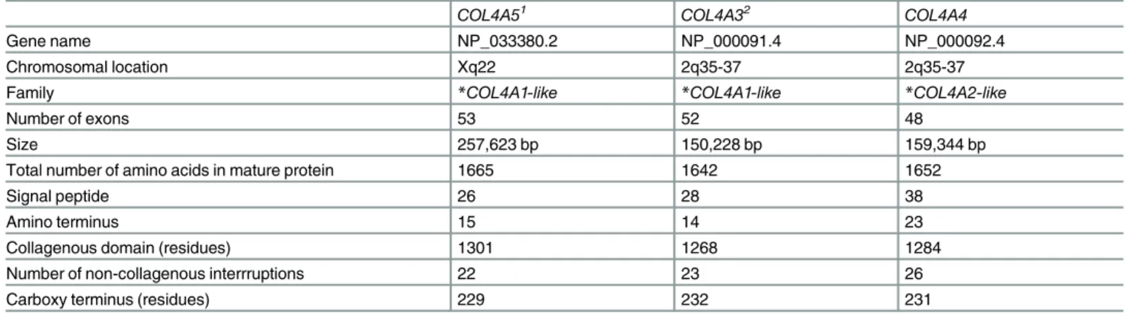 Table 1. Characteristics of COL4A5 , COL4A3 and COL4A4 genes and the corresponding proteins.