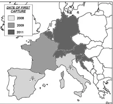 Figure 1 : Propagation de D. suzukii en Europe. La localisation des 1ères observations est  indiquée par les dessins de mouche (Cini, et al., 2012)