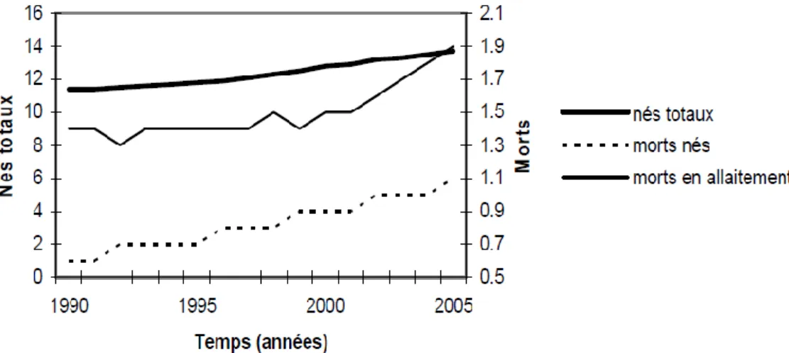 Figure 1: Evolution de la taille de la portée et de mortalité des porcelets en lactation chez une truie  (Canario, 2006) 