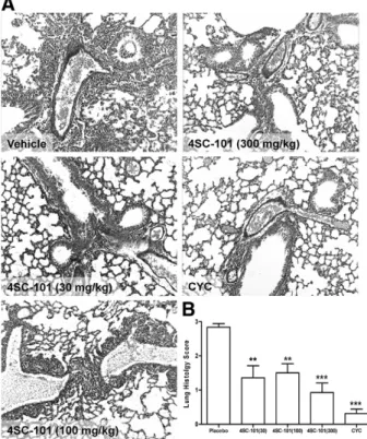 Figure 7. 4SC-101 improves autoimmune lung disease in MRL lpr/lpr mice. A:
