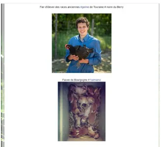 Figure 11 : Capture d’écran du blog « Des  poules et des vignes » - publication du 5 