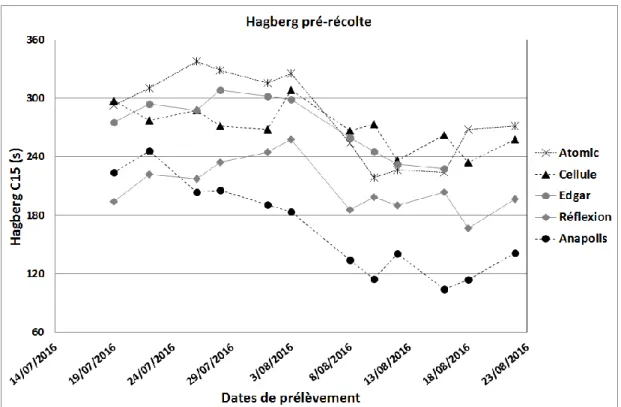 Figure 1 – Evolution du nombre de chute de Hagberg, suivi de 5 variétés (ULg GxABT-CRAW)