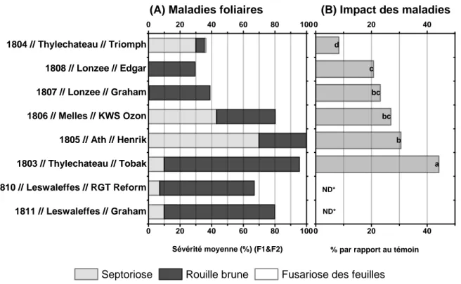 Figure 5.11 – (A) Sévérité moyenne des maladies sur F1 et F2 (surface moyenne couverte par les symptômes)  lors du développement des grains (entre le 25/6 et 28/6) (B)