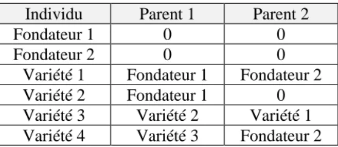 Tableau 5 - Fichier utilisé pour la construction des matrices A et D  Individu  Parent 1  Parent 2 