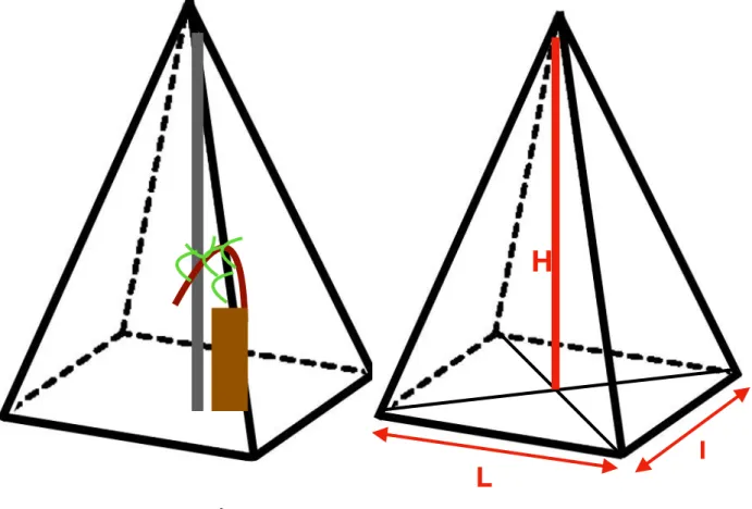 Figure 5: Modélisation en pyramide d’un pied en échalas pour la mesure de la SCEV  36HLlH: Hauteur de la canopéeL: Longueur de la canopéel: Épaisseur de la canopée