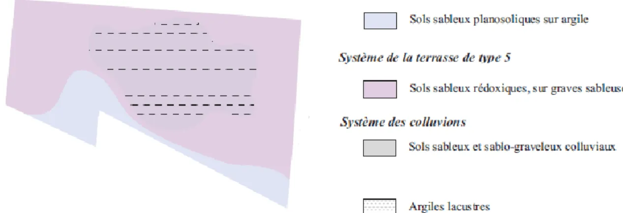 Figure 2 : Carte pédologique de la parcelle 110 (Source : Château Margaux, réalisation personnelle)