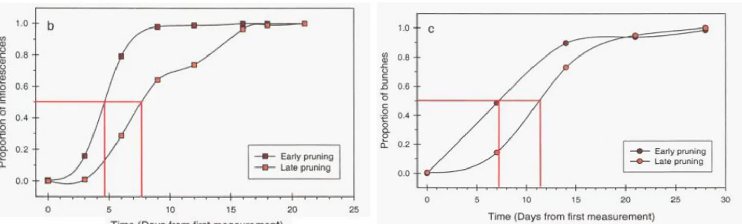 Figure 9 : Influence d’une taille retardée sur le la floraison et la véraison (Friend, A.P., 2005) 