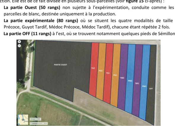 Figure 15 : Organisation de la parcelle expérimentale (réalisation personnelle sur geoportail.gouv.fr) 