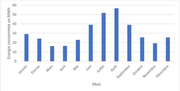 Figure 8 : Bilan des consommations du site en MWh/mois 