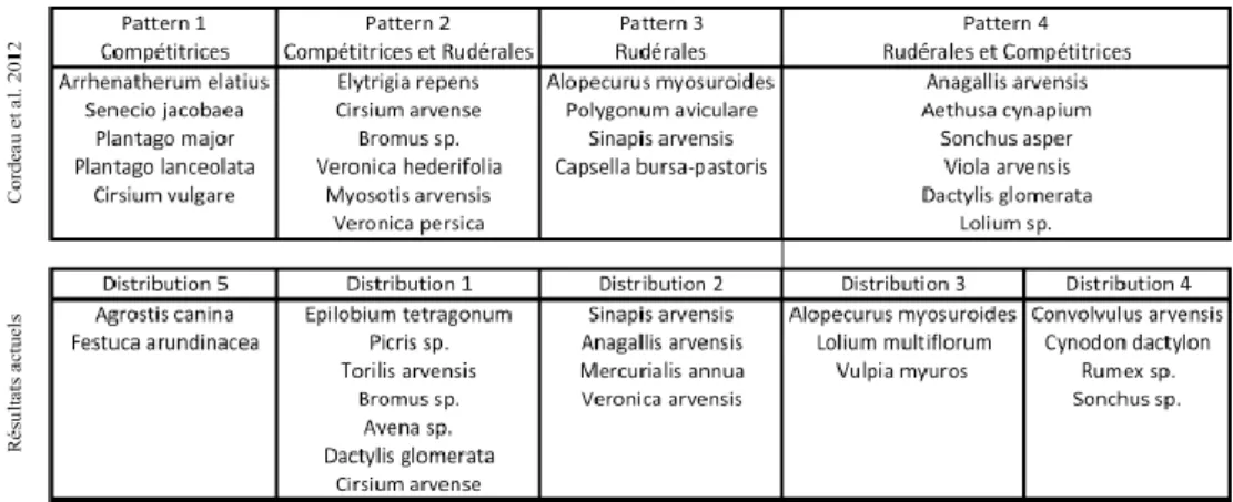 Figure 2 :  Comparaison des résultats de Cordeau et. al, 2012 et Donnet, 2016 : Espèces compétitrices de la BH :  Pattern 1 et Distribution 5, Espèces rudérales spécifiques de la BC : Pattern 3 et Distribution 2, Espèces présentes 