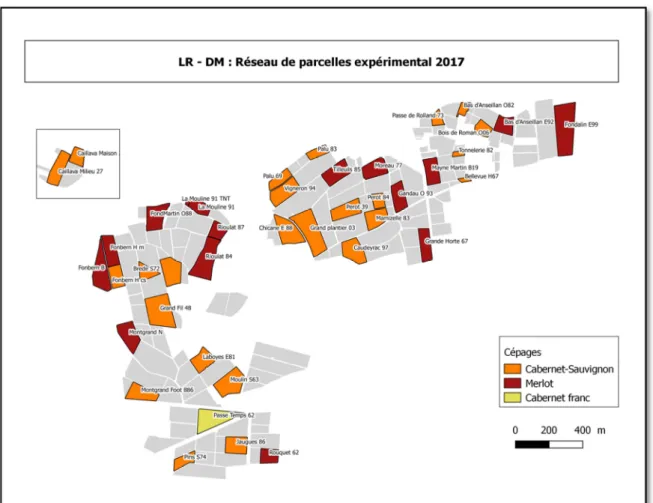 Figure 7 : « Réseau expérimental 2017 »utilisé pour divers suivis dans cette étude 