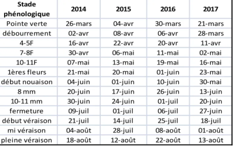 Tableau 6: stade phénologique du grenache de 2014 à 2017 à Piolenc (F=feuille étalée)  Stade 