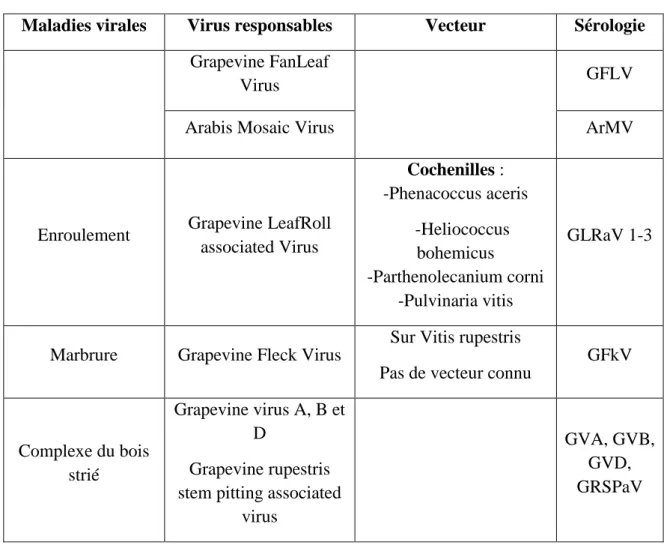 Tableau 1: Résumé des principales maladies à virus et leurs vecteurs responsables   Maladies virales  Virus responsables  Vecteur  Sérologie 