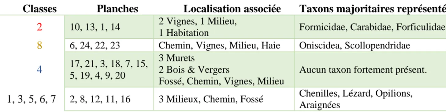 Tableau 11 : Classes observées et taxons associés en mai 