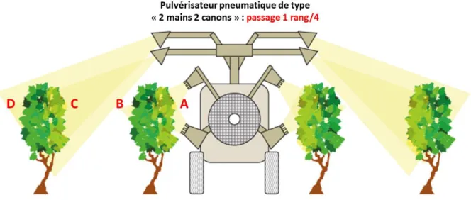 Figure 11 : Interprétation des résultats sur papier hydrosensible lors des contrôles de qualité de  pulvérisation au vignoble (Source : Chambre d’Agriculture de la Côte-d’Or) 