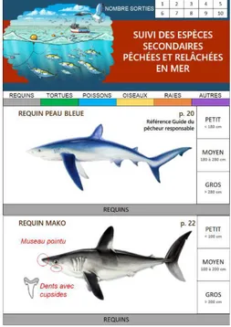 Figure 12 : Exemples de trois  pages du carnet de pêche à  poinçonner  (Caravaca et al., 2018)