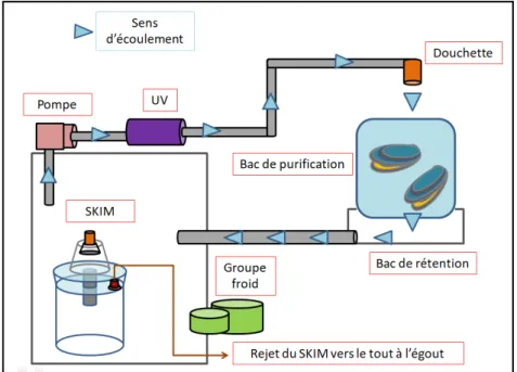 Figure 3 : Schéma de fonctionnement du système de purification   
