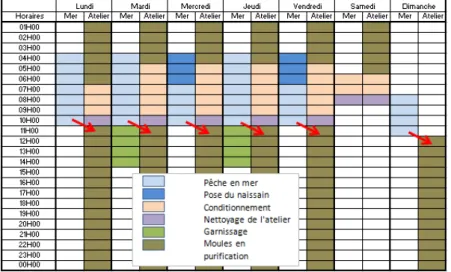 Tableau 1 : Répartition des travaux entre les équipes de mer et d’atelier   