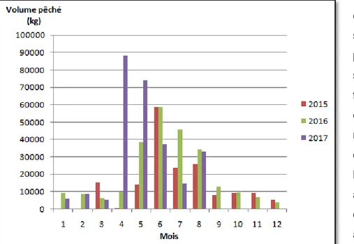 Figure 7 : Graphique comparatif des quantités de moules pêchées en 2015, 2016 et 2017 