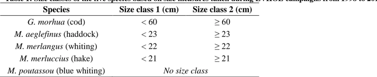 Table 1: Size classes of the five species based on size measures taken during EVHOE campaigns from 1998 to 2013