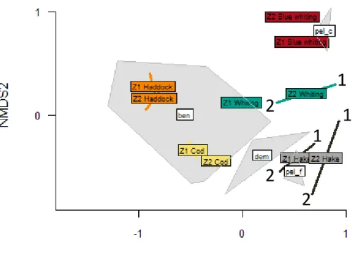 Figure  7:  Two-dimensional  ordination  from  non-metric  multidimensional  scaling  on  predator  categories  (coloured  labels)  and  prey  groups  (grey  polygons)  from  %FO  tab  -  ben:  benthic  invertebrates,  dem:  demersal  fish,  pel_c: 