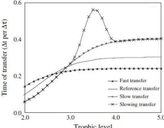 Figure 2 : Time of transfer in the food web per  trophic  level  for  various  theoretical  kinetics/speeds  of  biomass  flow (from  Gascuel  et al., 2005) 