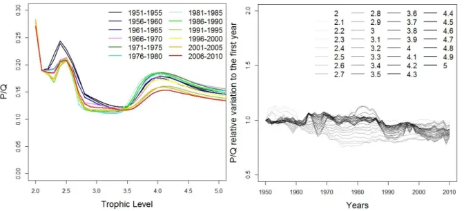 Figure  7 : Spectra  for  the  North  Sea  – Left: P/Q spectrum per trophic level every 5 years  – Right: relative P/Q  values spectrum per year for each trophic class (step = 0.1), each value per year is divided by the P/Q (1950) 
