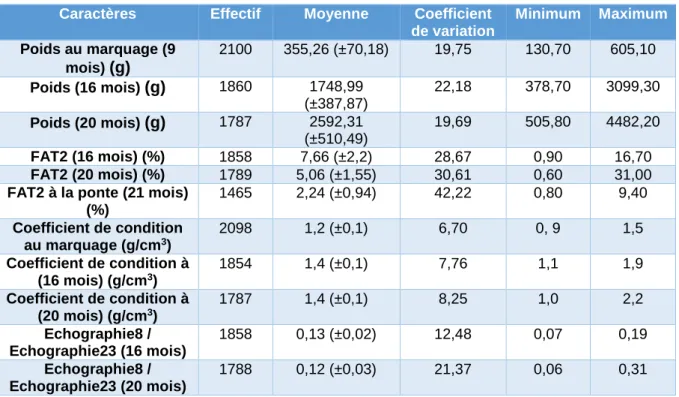Tableau VI : Statistiques descriptives des caractéristiques de croissance (poids, adiposité musculaire, K et échographies)  Caractères  Effectif  Moyenne  Coefficient 