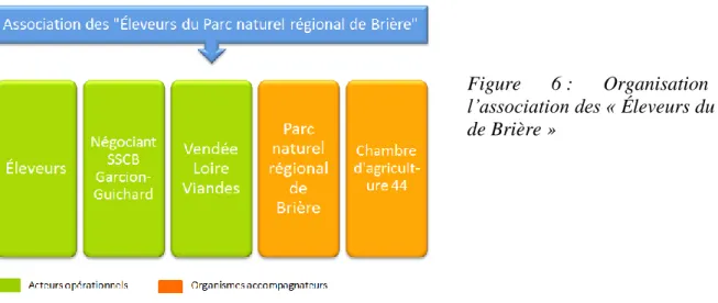 Figure  6 :  Organisation  de  l’association des « Éleveurs du PNR  de Brière » 