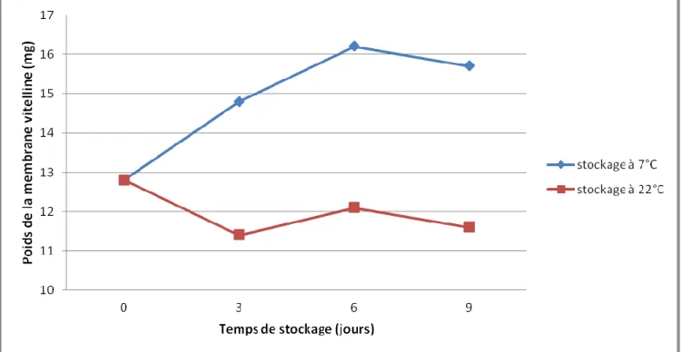 Figure 6  Évolution du poids  la membrane vitelline au cours du stockage selon la température (Heath 1976) 