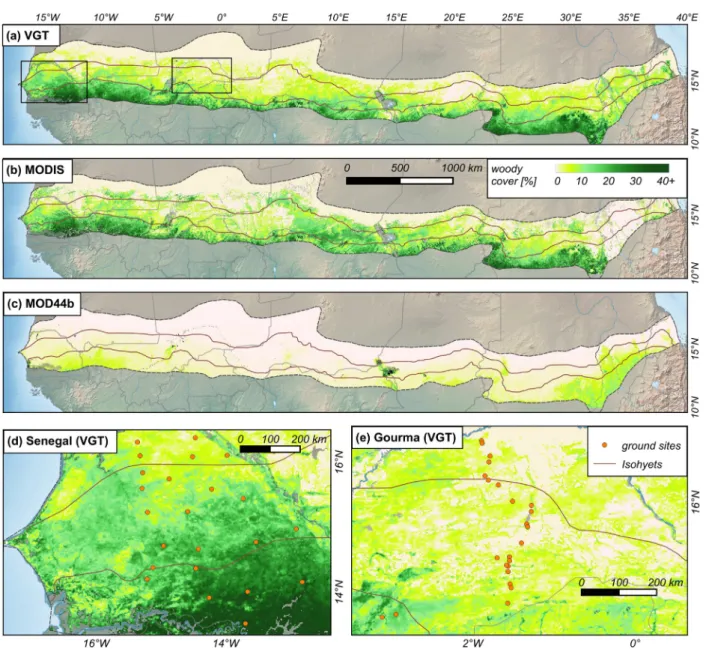 Fig. 7. Extrapolated woody cover maps derived from VGT (a) and MODIS (b) FAPAR as well as the global tree cover product MOD44B (c)