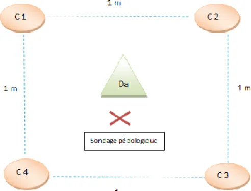 Figure 8 : Photographie du  quartage des échantillons 