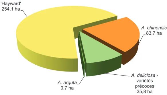 Figure 4 : Ventilation variétale des 374,03 hectares de vergers de kiwis français contaminés par Psa au  1er janvier 2012