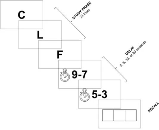 Figure captions  Figure 1. Description of the Brown-Peterson procedure. 