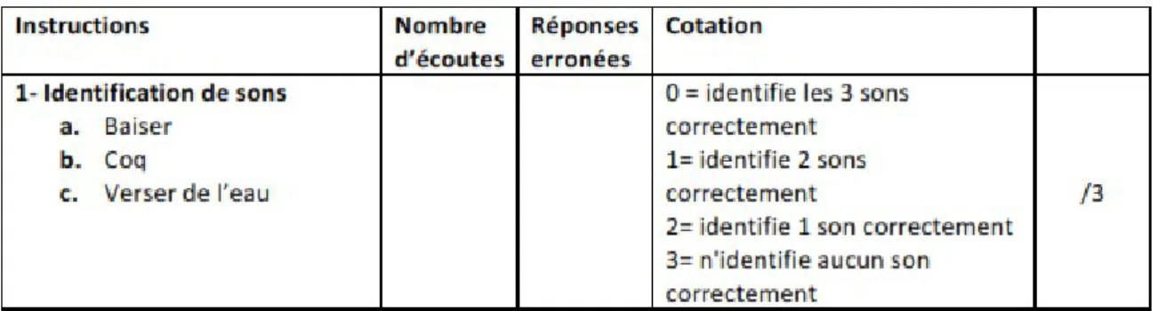 Figure 9 : Extrait de la feuille de cotation pour l'item « identification de sons »