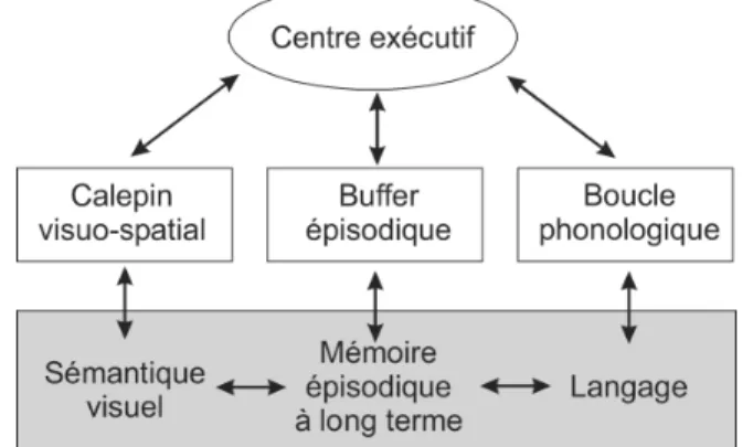 Figure 1: Modèle de la mémoire de travail, Baddeley (2000, 2012). 