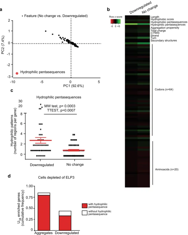 Fig. 4 A penta-hydrophilic amino acid pattern links translation defects to protein aggregation in U 34 -enzymes depleted cells