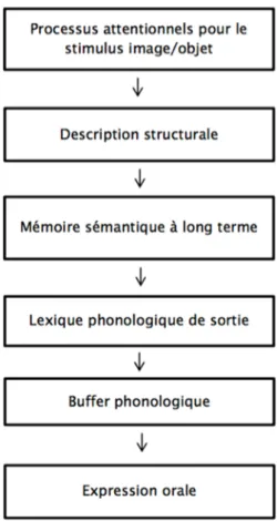 Figure 5. Modèle de Chomel-Guillaume, Leloup &amp; coll. (2010) 