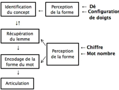 Figure 7. Modèle proposé par Roelofs (2006) avec ajout de la configuration de doigts 