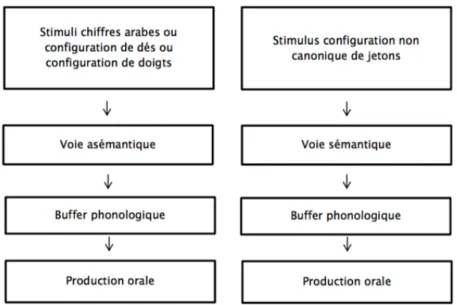 Figure 8. Modèle proposé par Herrera et Macizo (2012) avec ajout de la configuration de  doigts 