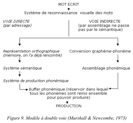 Figure 9. Modèle à double voie (Marshall &amp; Newcombe, 1973) 