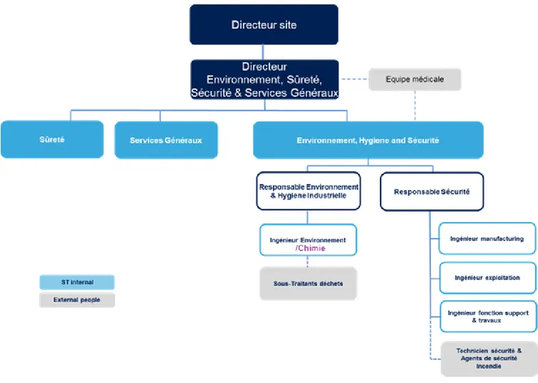 Figure 7 : Organigramme du service EHS 