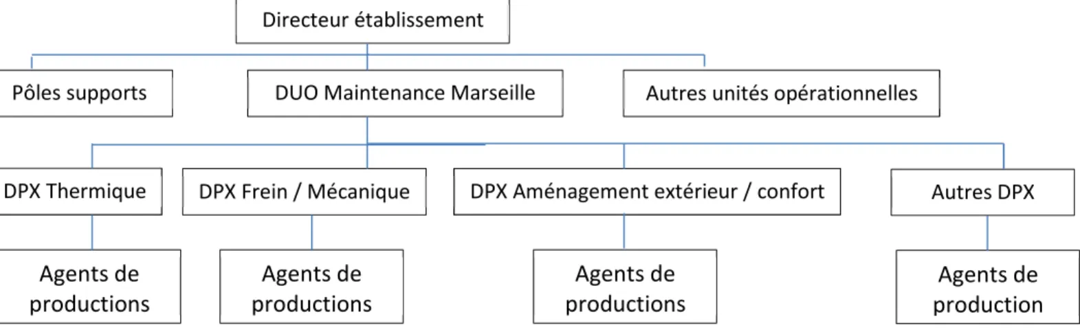 Figure 9 : Organigramme simplifié du site de Blancarde