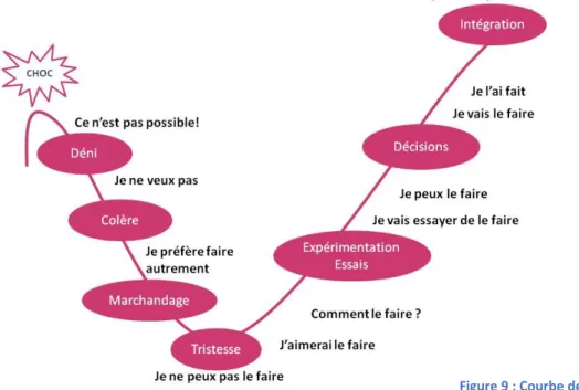 Figure 9 : Courbe de l'évolution face au changement 