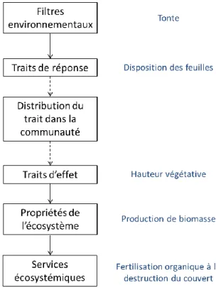 Figure 7 Les matrices de données issues de différentes échelles nécessaires à l’étude de la relation « traits – propriétés  de  l’écosystème »