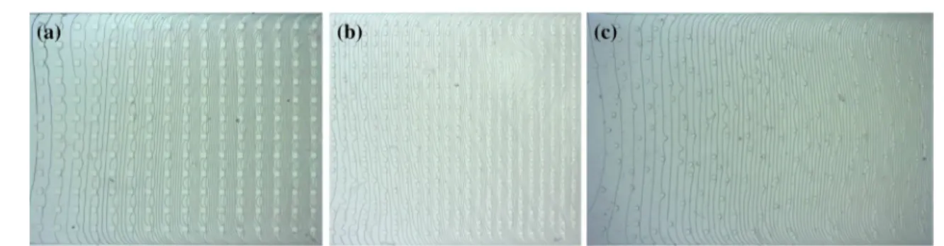 Fig. 8    Examples  of  the  progression  of  a  Newtonian  silicone  oil  of  dynamic  viscosity η = 100 mPa s  in  original  lattices  of  micropillars: 