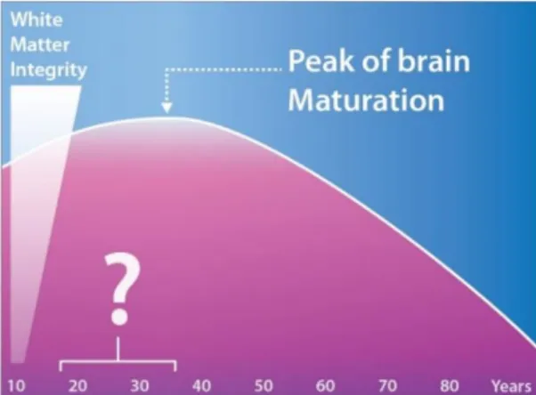 Figure 5 : Illustration de l’évolution de l’intégrité de la substance blanche (white matter  integrity) avec l’âge et du pic de maturation cérébrale (peak of brain maturation) 