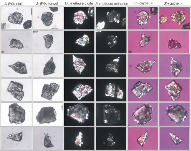 Figure 7. Chloritoïdes du Massif du Serpont. Remarque : dans le microscope polarisant, la couleur  verte est très discrète, mais elle n’apparaît pas sur les photos