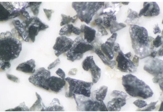 Figure 9. Eclats de chloritoïdes du Massif de Rocroi vus à la loupe.  
