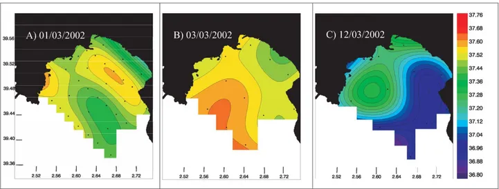 Fig. 4. Surface water salinity distributions during EUBAL-I for (A) 1 March 2002, (B) 3 March 2002; (C) 12 March 2002.